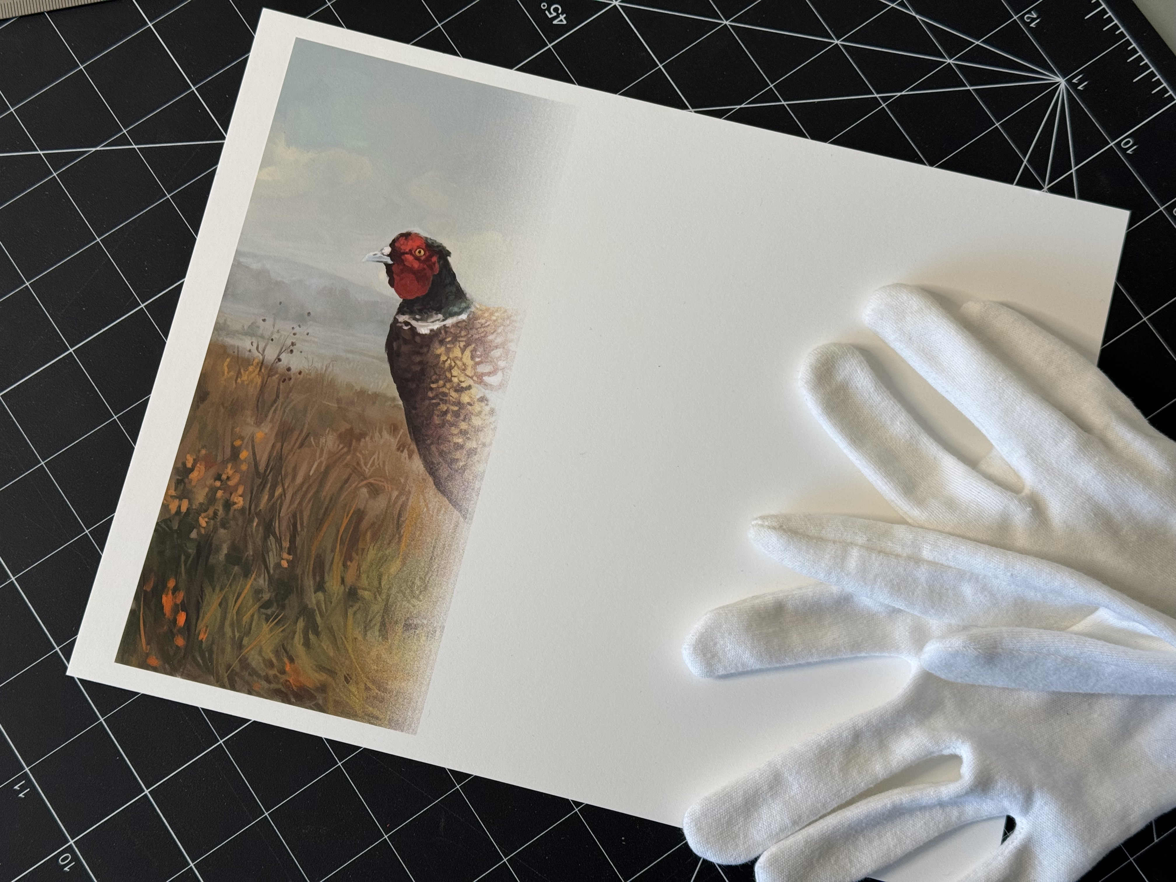 Failed test image of Rocco the pheasant
