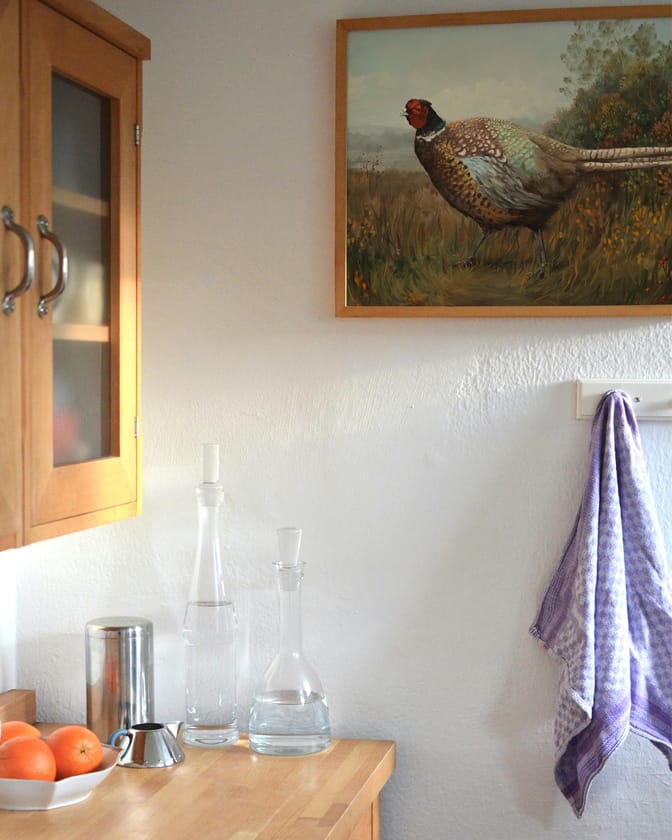 Rocco the Pheasant in a Kitchen